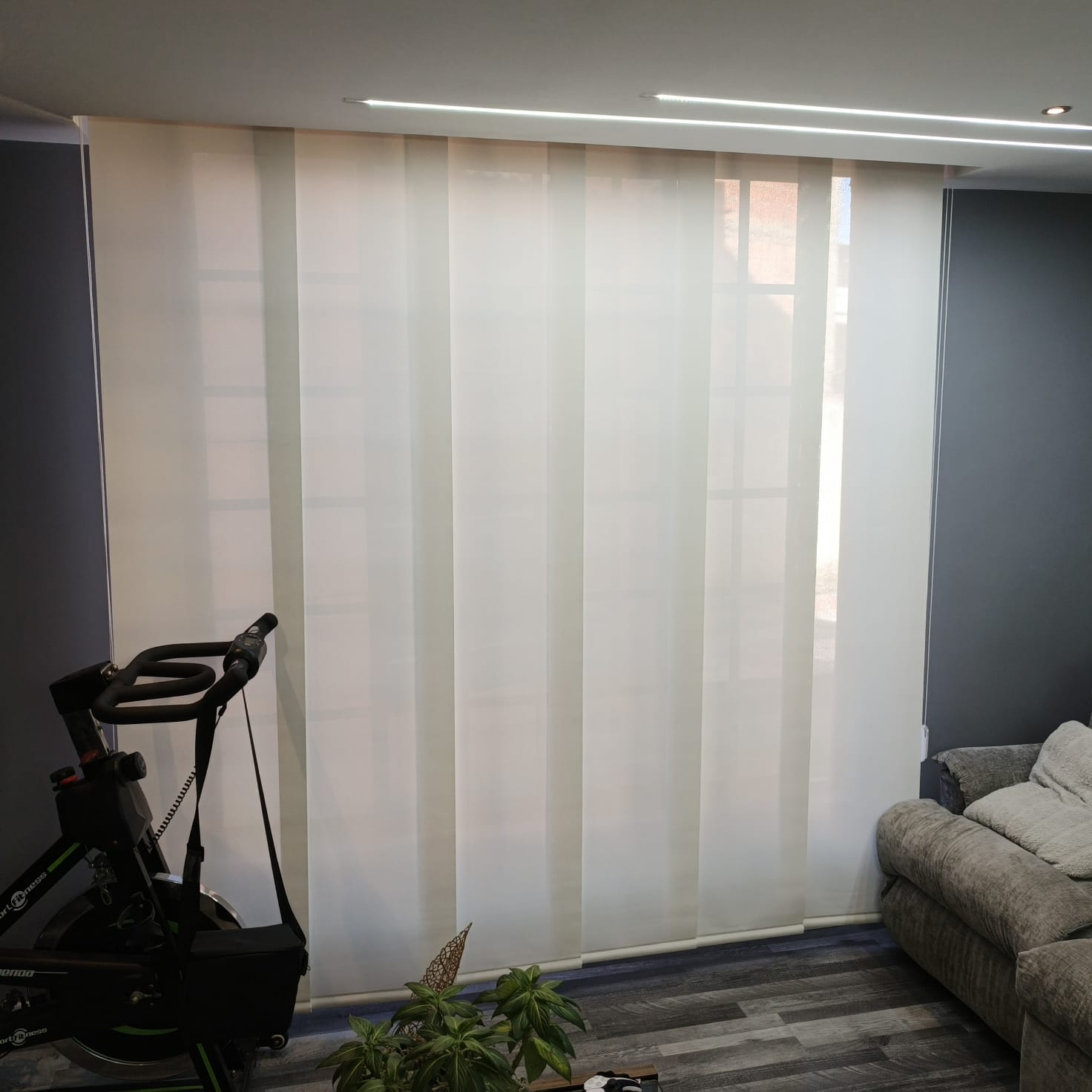 Proyecto Japoneses 1